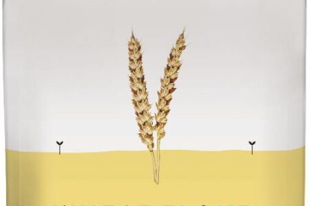 Auga Organic Wholegrain Wheat Flour 1Kg