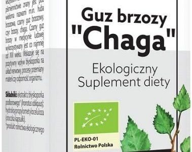 Dary Natury Guz Brzozy Chaga 60Kaps