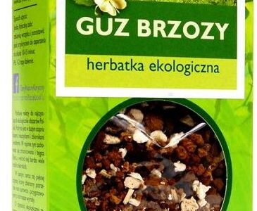 Dary Natury guz brzozy eko herbatka 50g