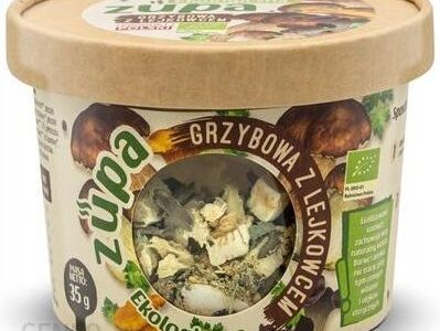 Dary Natury Zupa Grzybowa Z Lejkowcem Eko 35g