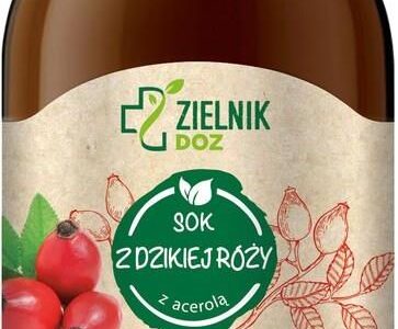 Doz Zielnik Dzika Róża, Sok, 250ml