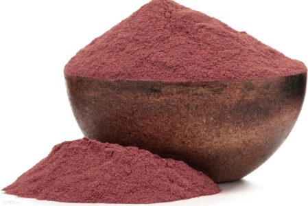 Grizly Jagody Acai w proszku BIO 100 g