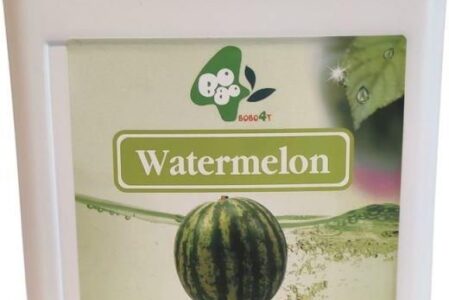 Molecula Boboq Syrop O Smaku Arbuza Do Bubble Tea 1.9l