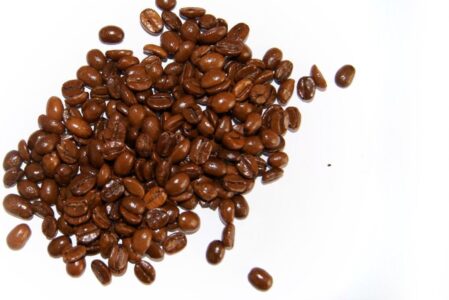 Rafex Kawa kopi luwak 100g