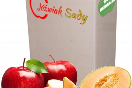 Sok Jabłko-Melon 5l Nfc 100% Tłoczony
