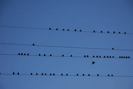 Oryginalne parawany i gadżety reklamowe przyciągają uwagę klientów